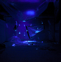 plastic sheet, rope, duct tape, cardboard, tonic water, uv- lights<br>
3 x 4 x 6 m