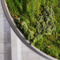 Stabilized mosses and plants, Nokia satellite antenna, steel pedestal<br>300 x 180 x 170 cm