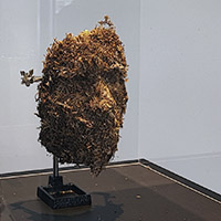 Preserved forest owned by the artist, metal stand, acrylic cube, stand<br>
151 x 41 x 41 cm